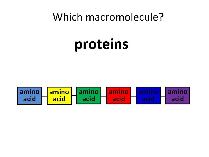 Which macromolecule? proteins amino acid amino acid 