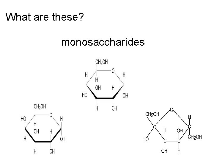 What are these? monosaccharides 