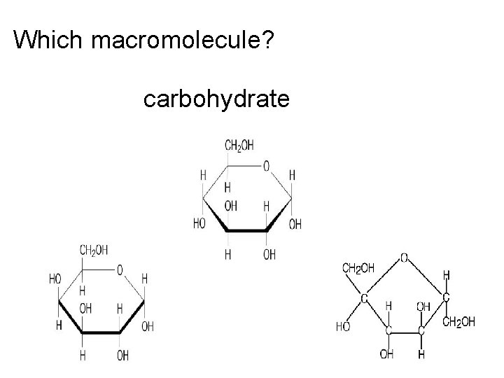 Which macromolecule? carbohydrate 