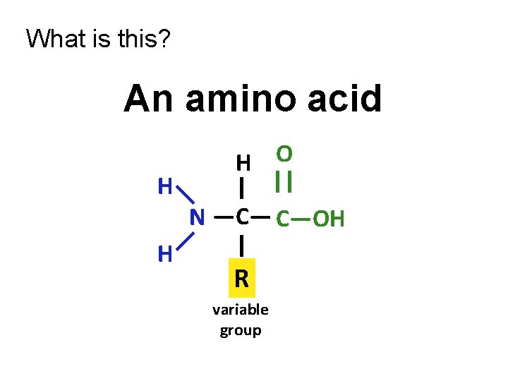 What is this? An amino acid H O H | || —C— C—OH —N—