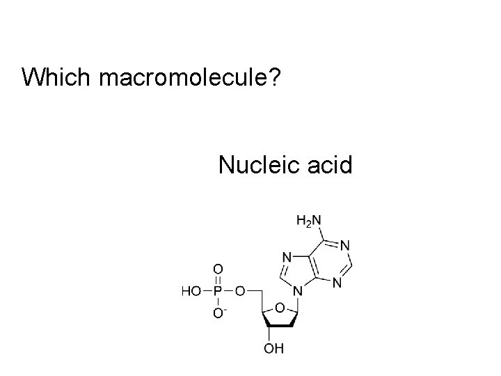 Which macromolecule? Nucleic acid 