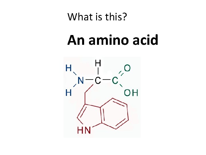 What is this? An amino acid 