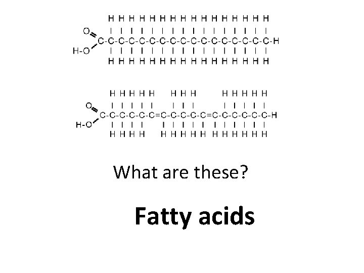 What are these? Fatty acids 