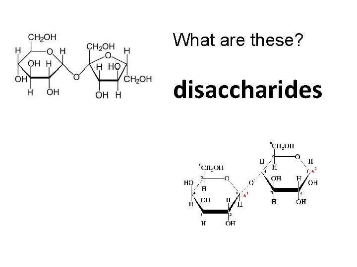 What are these? disaccharides 