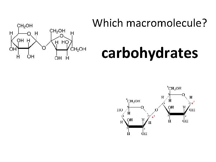 Which macromolecule? carbohydrates 
