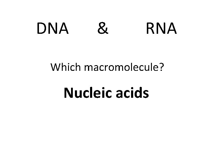 DNA & RNA Which macromolecule? Nucleic acids 