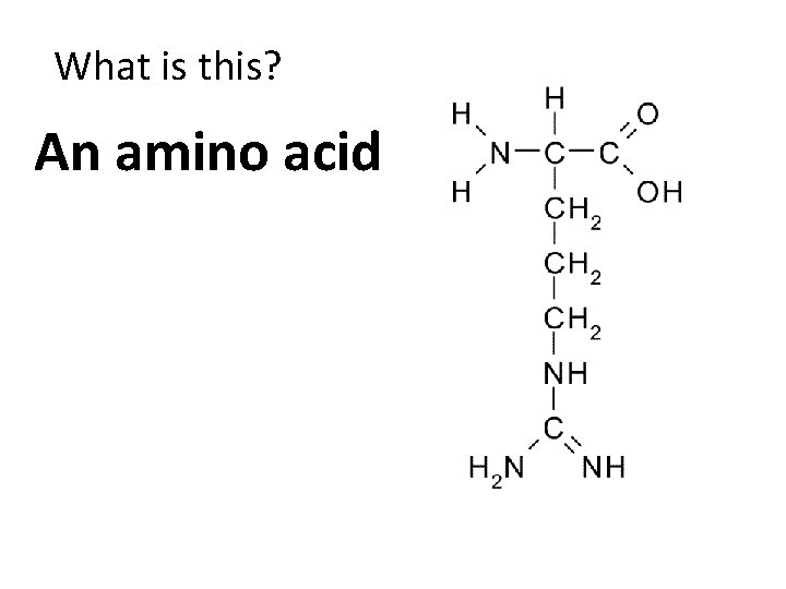 What is this? An amino acid 