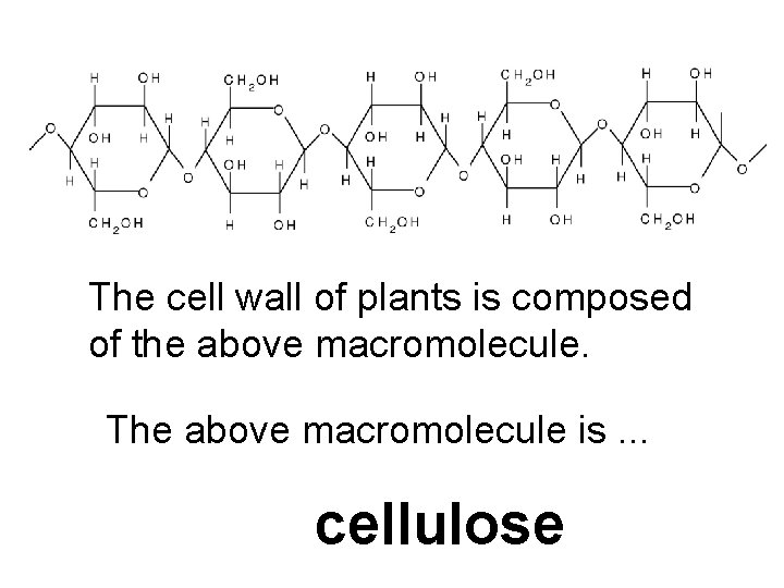 The cell wall of plants is composed of the above macromolecule. The above macromolecule