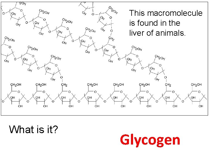 This macromolecule is found in the liver of animals. What is it? Glycogen 