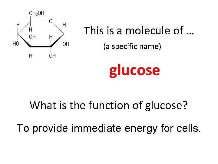 This is a molecule of … (a specific name) glucose What is the function