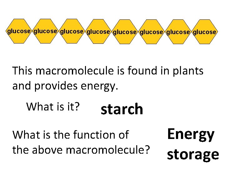 glucose glucose This macromolecule is found in plants and provides energy. What is it?