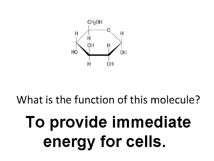 What is the function of this molecule? To provide immediate energy for cells. 