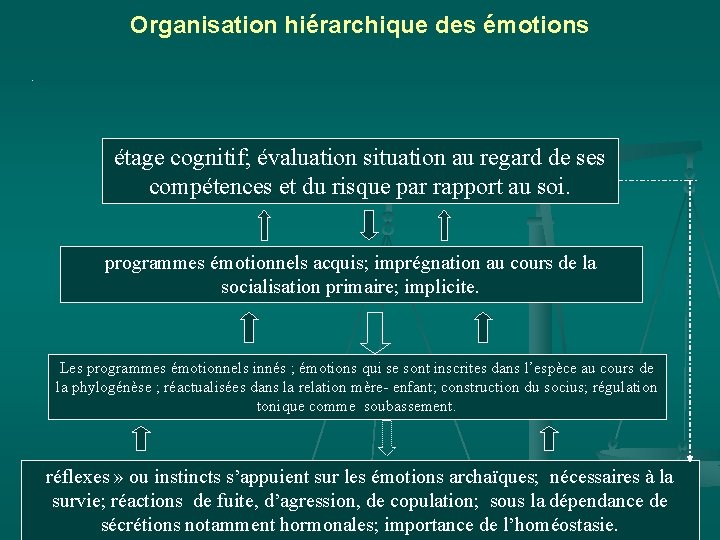 Organisation hiérarchique des émotions. étage cognitif; évaluation situation au regard de ses compétences et