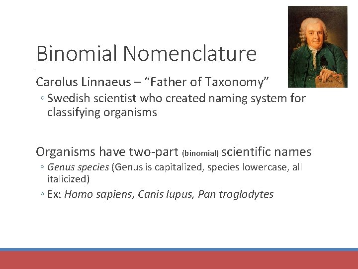 Binomial Nomenclature Carolus Linnaeus – “Father of Taxonomy” ◦ Swedish scientist who created naming