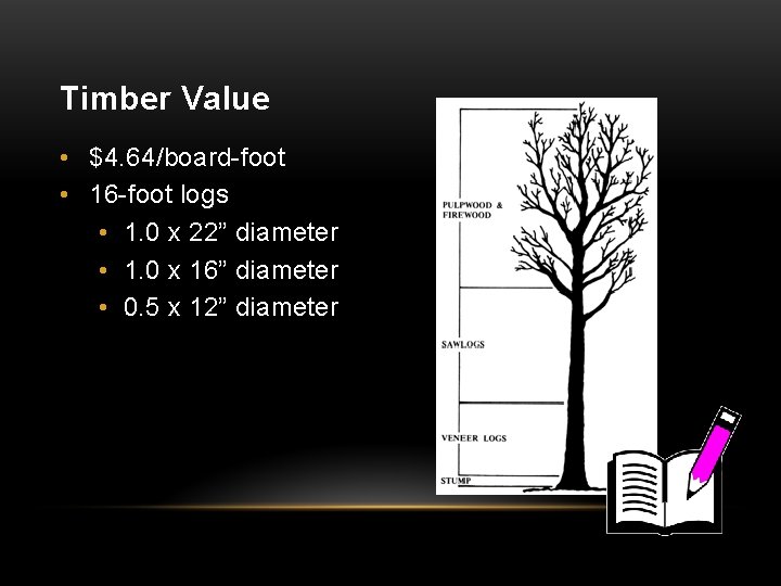 Timber Value • $4. 64/board-foot • 16 -foot logs • 1. 0 x 22”