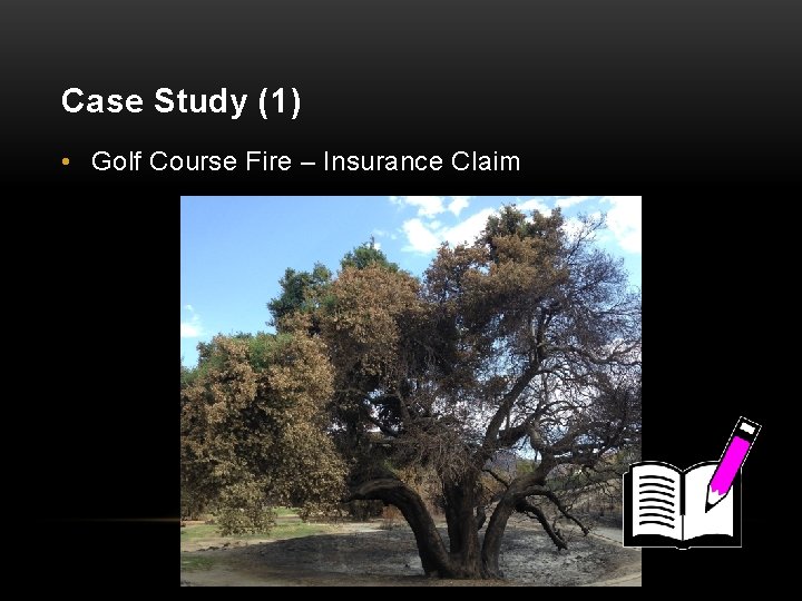 Case Study (1) • Golf Course Fire – Insurance Claim 