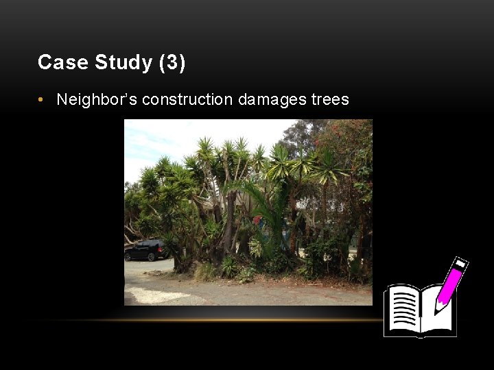 Case Study (3) • Neighbor’s construction damages trees 