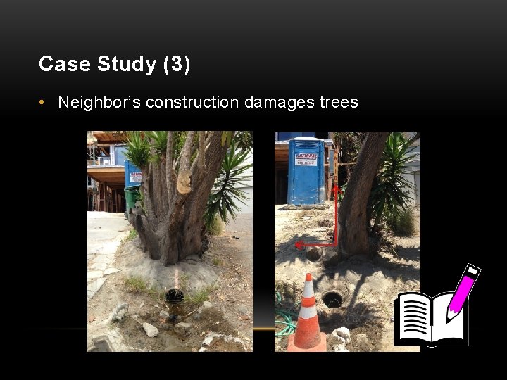 Case Study (3) • Neighbor’s construction damages trees 