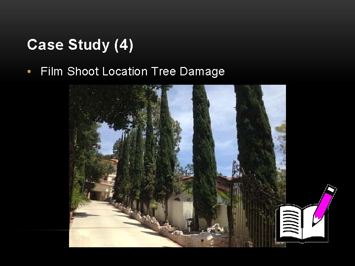 Case Study (4) • Film Shoot Location Tree Damage 