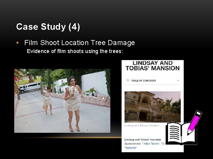 Case Study (4) • Film Shoot Location Tree Damage Evidence of film shoots using