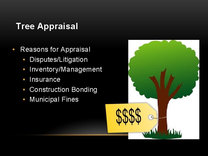 Tree Appraisal • Reasons for Appraisal • Disputes/Litigation • Inventory/Management • Insurance • Construction