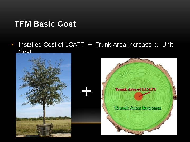 TFM Basic Cost • Installed Cost of LCATT + Trunk Area Increase x Unit