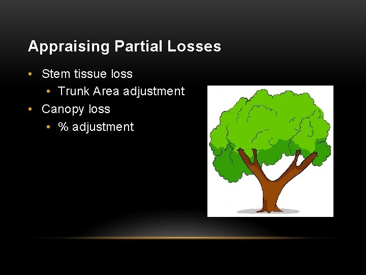Appraising Partial Losses • Stem tissue loss • Trunk Area adjustment • Canopy loss