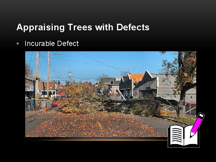 Appraising Trees with Defects • Incurable Defect 