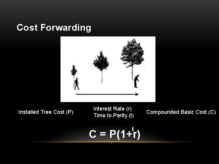 Cost Forwarding Installed Tree Cost (P) Interest Rate (r) Time to Parity (t) t