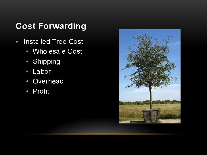 Cost Forwarding • Installed Tree Cost • Wholesale Cost • Shipping • Labor •