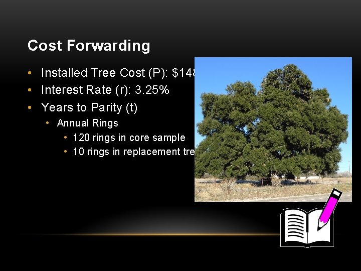 Cost Forwarding • Installed Tree Cost (P): $1482 • Interest Rate (r): 3. 25%