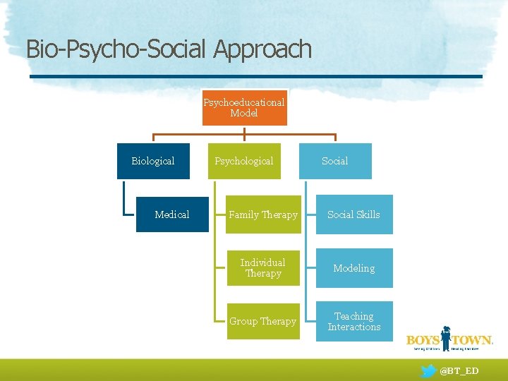 Bio-Psycho-Social Approach Psychoeducational Model Biological Medical Psychological Social Family Therapy Social Skills Individual Therapy