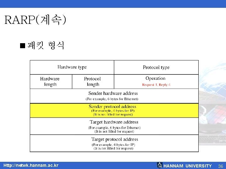 RARP(계속) <패킷 형식 Http: //netwk. hannam. ac. kr HANNAM UNIVERSITY 36 