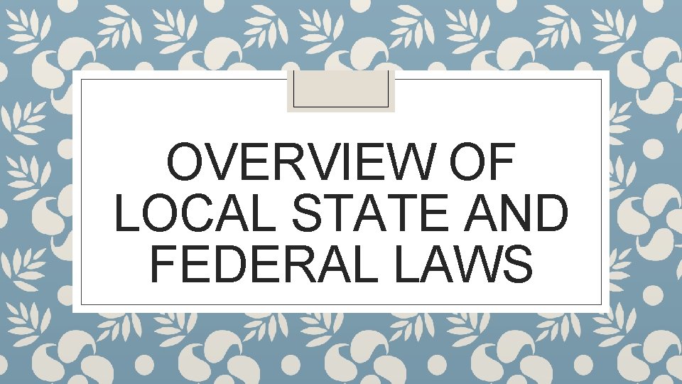 OVERVIEW OF LOCAL STATE AND FEDERAL LAWS 