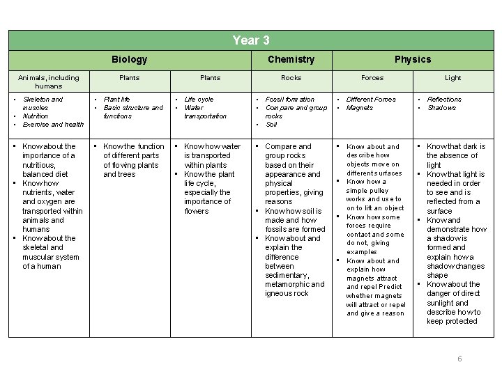 Year 3 Biology Chemistry Plants Rocks Physics Animals, including humans Plants Forces Light •