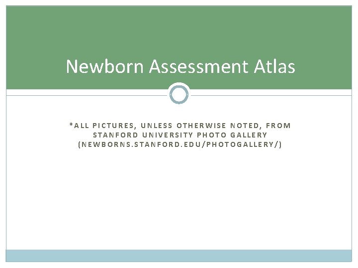 Newborn Assessment Atlas *ALL PICTURES, UNLESS OTHERWISE NOTED, FROM STANFORD UNIVERSITY PHOTO GALLERY (NEWBORNS.