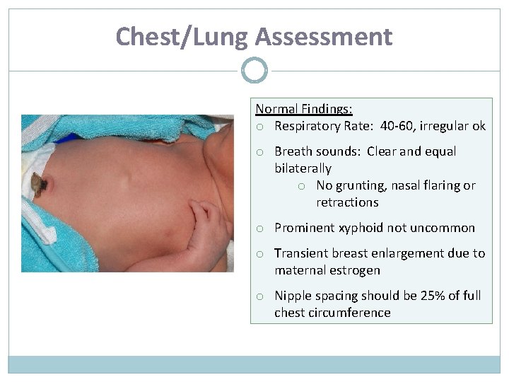 Chest/Lung Assessment Normal Findings: o Respiratory Rate: 40 -60, irregular ok o Breath sounds:
