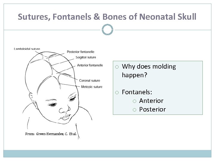 Sutures, Fontanels & Bones of Neonatal Skull o Why does molding happen? o Fontanels: