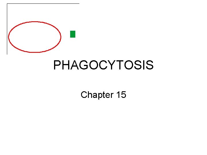 PHAGOCYTOSIS Chapter 15 