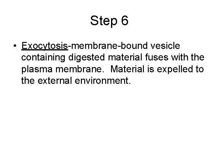 Step 6 • Exocytosis-membrane-bound vesicle containing digested material fuses with the plasma membrane. Material