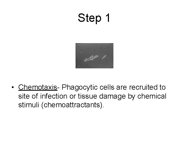 Step 1 • Chemotaxis- Phagocytic cells are recruited to site of infection or tissue