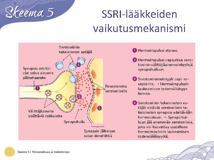 SSRI-lääkkeiden vaikutusmekanismi 