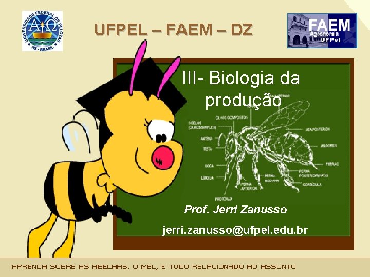 UFPEL – FAEM – DZ III- Biologia da produção Prof. Jerri Zanusso jerri. zanusso@ufpel.