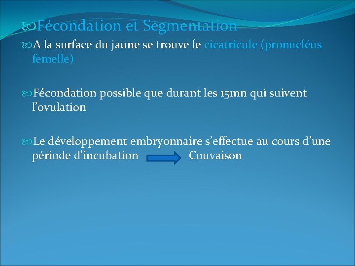  Fécondation et Segmentation A la surface du jaune se trouve le cicatricule (pronucléus