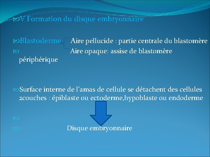  V Formation du disque embryonnaire Blastoderme Aire pellucide : partie centrale du blastomère