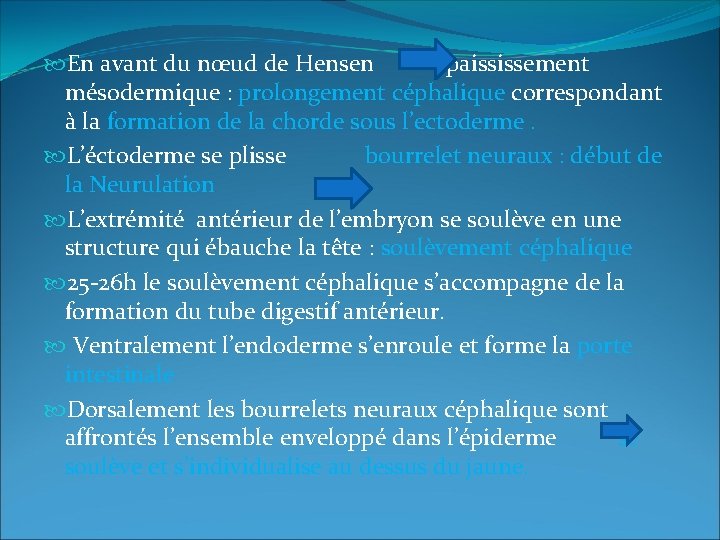  En avant du nœud de Hensen épaississement mésodermique : prolongement céphalique correspondant à