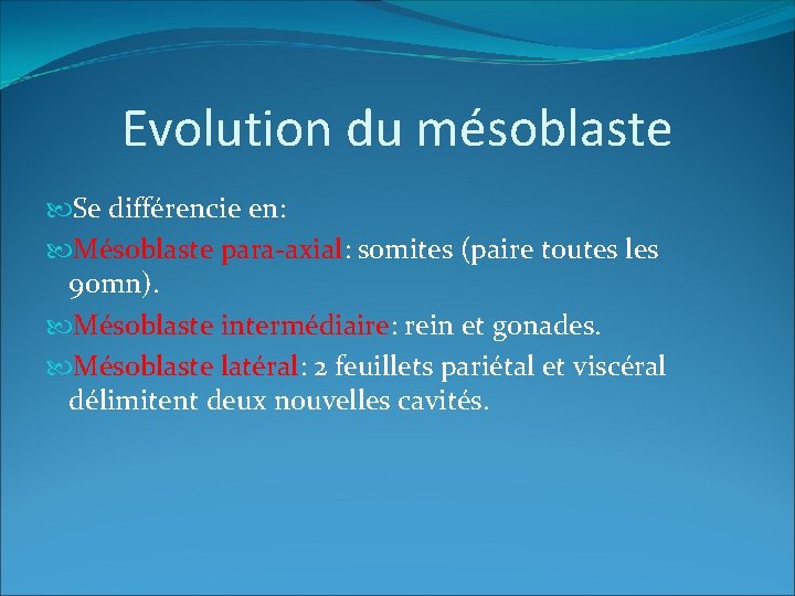 Evolution du mésoblaste Se différencie en: Mésoblaste para axial: somites (paire toutes les 90