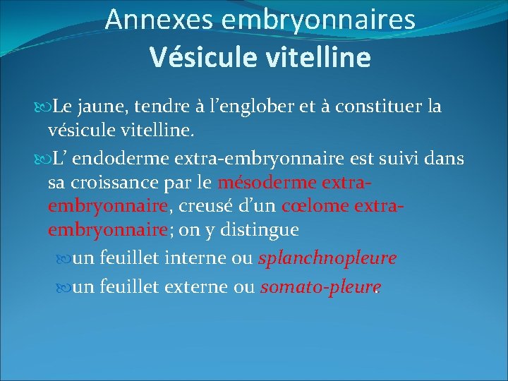 Annexes embryonnaires Vésicule vitelline Le jaune, tendre à l’englober et à constituer la vésicule