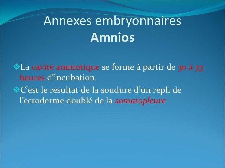 Annexes embryonnaires Amnios v. La cavité amniotique se forme à partir de 30 à