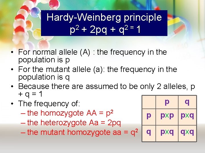 Hardy-Weinberg principle p 2 + 2 pq + q 2 = 1 • For